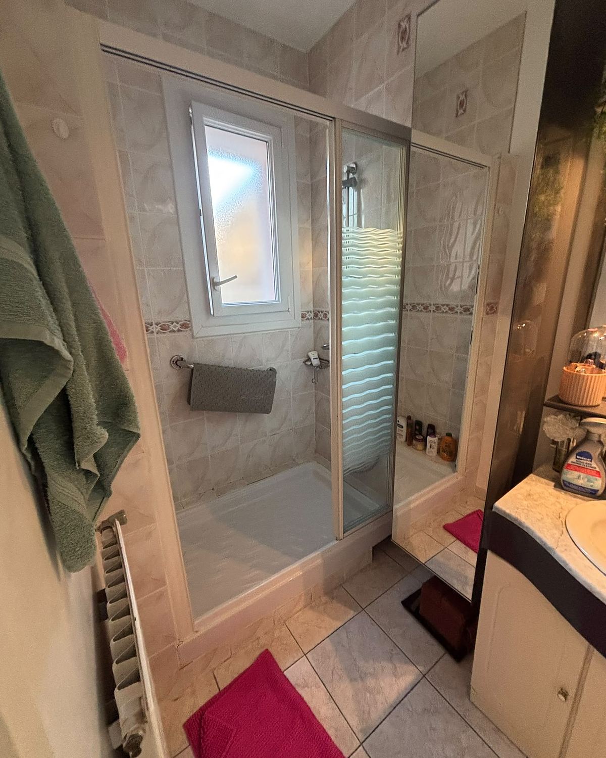 Avant travaux : cabine de douche vitrée dans une salle d'eau en carrelage beige à frise fleurie.